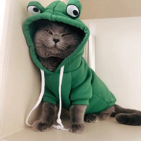 Cute AndCozy Costumes For Pet Cute AndCozy Costumes For Pet