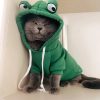 Cute AndCozy Costumes For Pet Cute AndCozy Costumes For Pet
