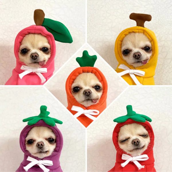 Cute AndCozy Costumes For Pet Cute AndCozy Costumes For Pet