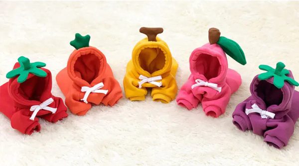 Cute AndCozy Costumes For Pet Cute AndCozy Costumes For Pet