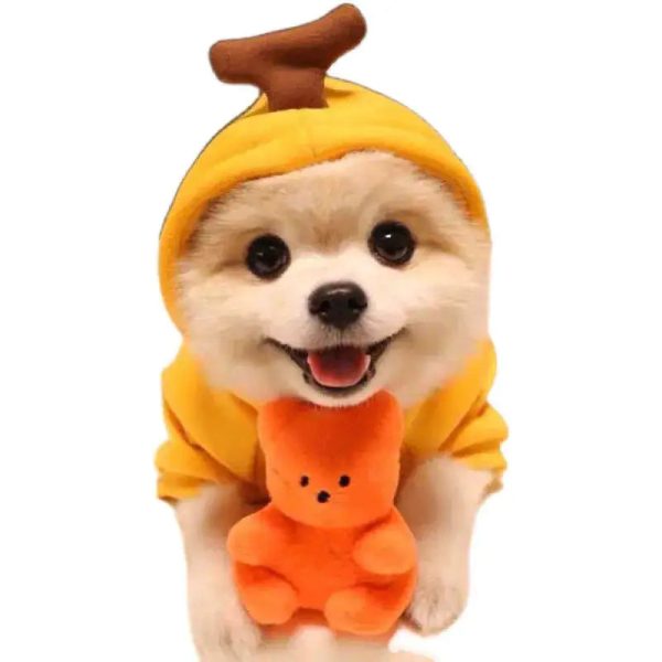 Cute AndCozy Costumes For Pet Cute AndCozy Costumes For Pet