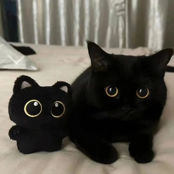 Cute Black Cat Plush Doll 10cm Small Pendant Soft Toy for Kids Cute Black Cat Plush Doll 10cm Small Pendant Soft Toy for Kids