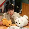 Cute Cartoon Cat Plush Pillow - Adorable Stuffed Animal for Kids' Gifts Cute Cartoon Cat Plush Pillow - Adorable Stuffed Animal for Kids' Gifts