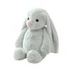 Cute Plush Rabbit Toy Soft Long Ear Bunny Doll for Kids and Bedroom Decor Cute Plush Rabbit Toy Soft Long Ear Bunny Doll for Kids and Bedroom Decor