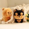 Cute Puppy Plush Toy Soft Husky and Corgi Dolls for Kids Cute Puppy Plush Toy Soft Husky and Corgi Dolls for Kids