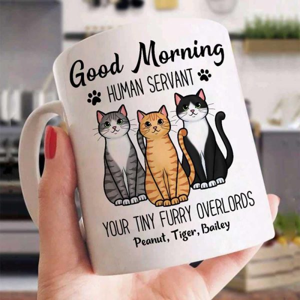 Cute Sitting Cats Good Morning Human Personalized Mug Cute Sitting Cats Good Morning Human Personalized Mug