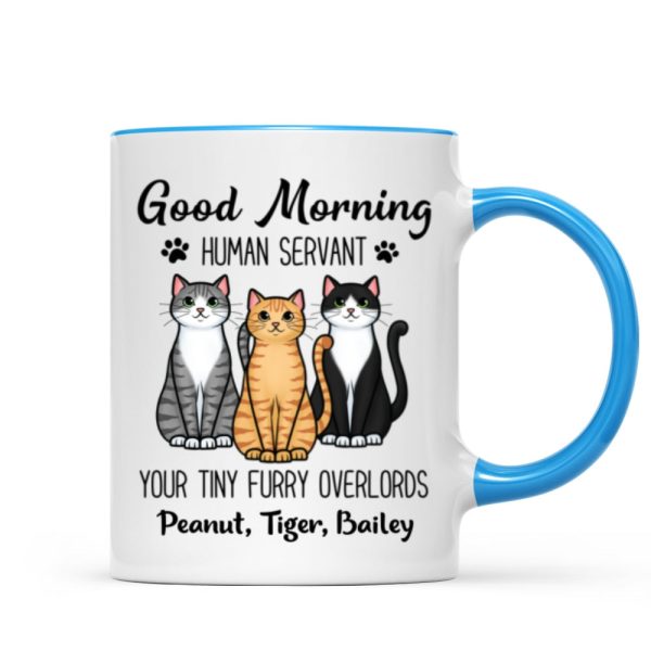 Cute Sitting Cats Good Morning Human Personalized Mug Cute Sitting Cats Good Morning Human Personalized Mug