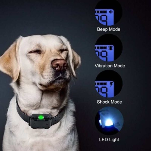 Digital Dog Training Collar