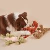 Dinosaur Dog Toys Dinosaur Dog Toys