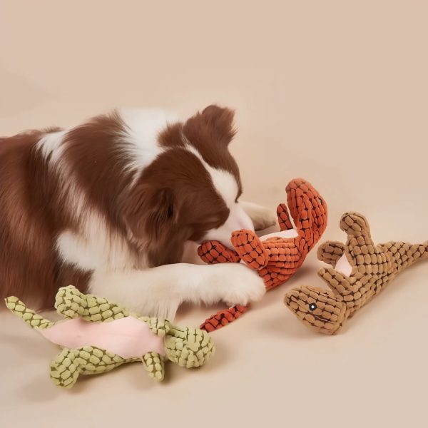 Dinosaur Dog Toys Dinosaur Dog Toys