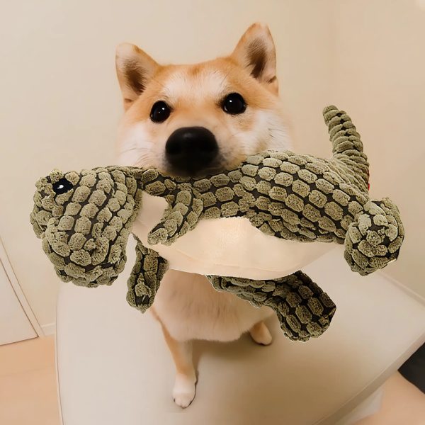 Dinosaur Dog Toys Dinosaur Dog Toys