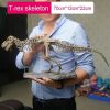 Dinosaur Skeleton Toys Ornament Simulation T-Rex Model Dinosaur Skeleton Toys Ornament Simulation T-Rex Model