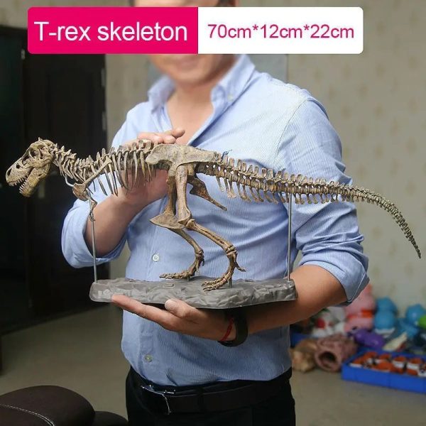 Dinosaur Skeleton Toys Ornament Simulation T-Rex Model Dinosaur Skeleton Toys Ornament Simulation T-Rex Model