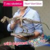 Dinosaur Skeleton Toys Ornament Simulation T-Rex Model Dinosaur Skeleton Toys Ornament Simulation T-Rex Model