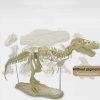 Dinosaur Skeleton Toys Ornament Simulation T-Rex Model Dinosaur Skeleton Toys Ornament Simulation T-Rex Model