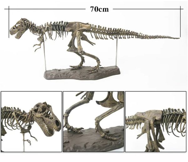 Dinosaur Skeleton Toys Ornament Simulation T-Rex Model Dinosaur Skeleton Toys Ornament Simulation T-Rex Model