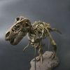 Dinosaur Skeleton Toys Ornament Simulation T-Rex Model Dinosaur Skeleton Toys Ornament Simulation T-Rex Model