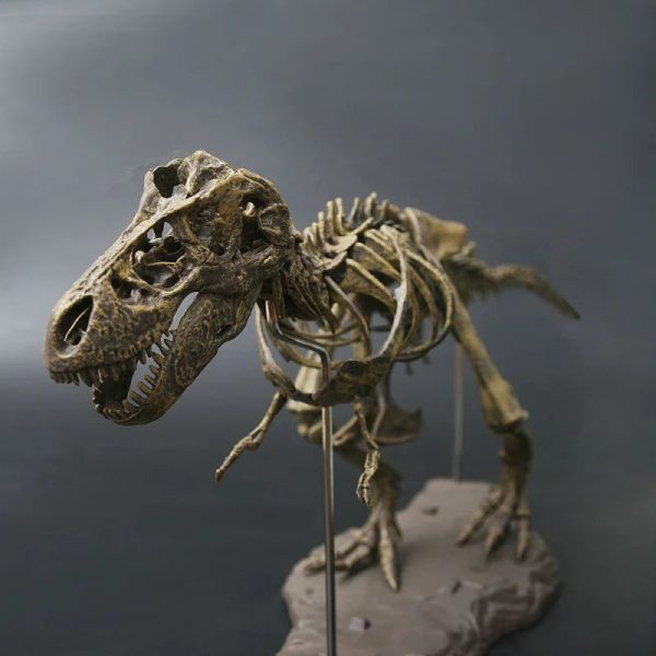 Dinosaur Skeleton Toys Ornament Simulation T-Rex Model Dinosaur Skeleton Toys Ornament Simulation T-Rex Model