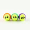 Dog Ball Launcher - Outdoor Interactive Training Toy Dog Ball Launcher - Outdoor Interactive Training Toy