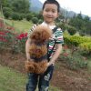 Dog Carrier Backpack