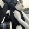 Dog Carrier Backpack