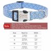 Dog Collars with Name Tags Dog Collars with Name Tags