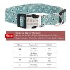 Dog Collars with Name Tags Dog Collars with Name Tags
