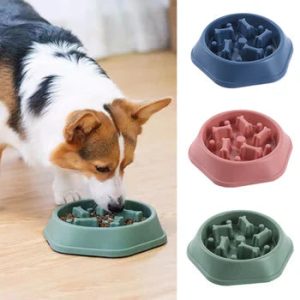 Dog Food Plate