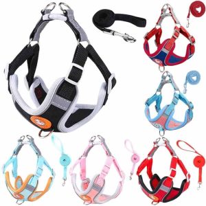 Dog Harness and Leash
