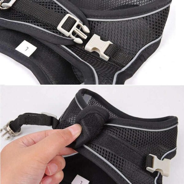Dog Harness Vest and Leash Dog Harness Vest and Leash