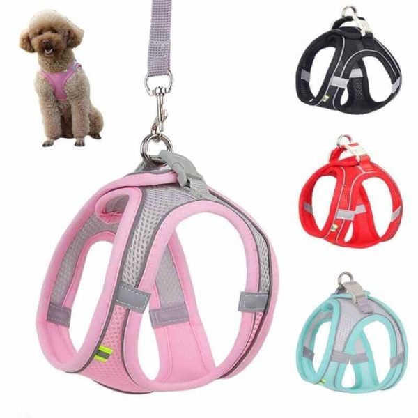 Dog Harness Vest and Leash Dog Harness Vest and Leash