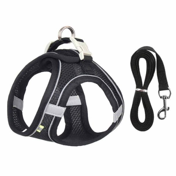 Dog Harness Vest and Leash Dog Harness Vest and Leash