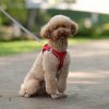 Dog Harness Vest and Leash Dog Harness Vest and Leash