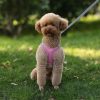 Dog Harness Vest and Leash Dog Harness Vest and Leash