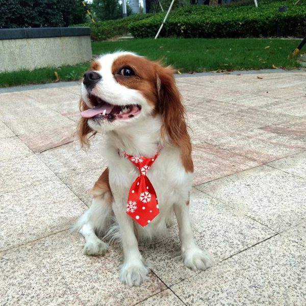 Dog Holiday Neckties Dog Holiday Neckties
