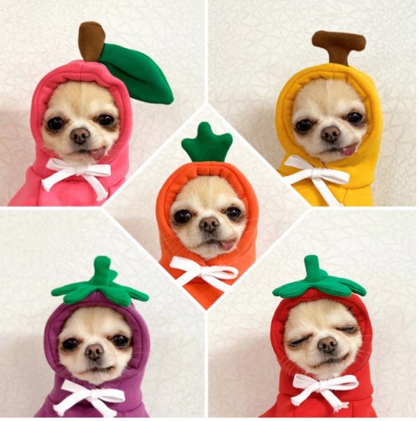 Dog Winter Hoodies Dog Winter Hoodies