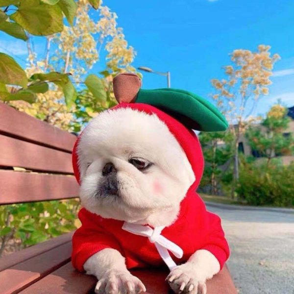 Dog Winter Hoodies Dog Winter Hoodies