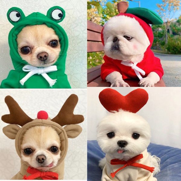 Dog Winter Hoodies Dog Winter Hoodies