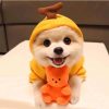 Dog Winter Hoodies Dog Winter Hoodies