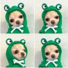 Dog Winter Hoodies Dog Winter Hoodies