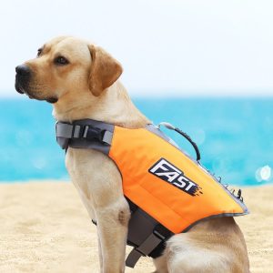 Doggy Life Preserver