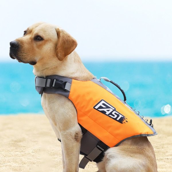 Doggy Life Preserver Doggy Life Preserver
