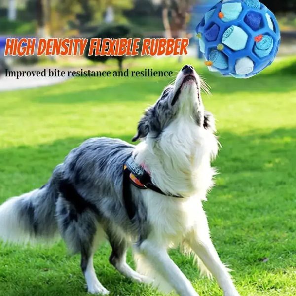 Doggy Snuffle Ball Doggy Snuffle Ball