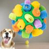 Doggy Snuffle Ball Doggy Snuffle Ball