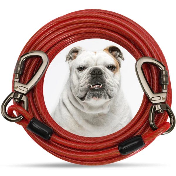 Durable Leash for Large Dogs Durable Leash for Large Dogs