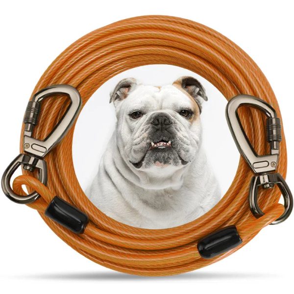 Durable Leash for Large Dogs Durable Leash for Large Dogs