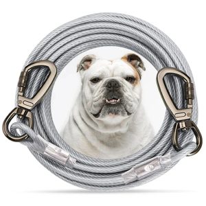 Durable Leash for Large Dogs