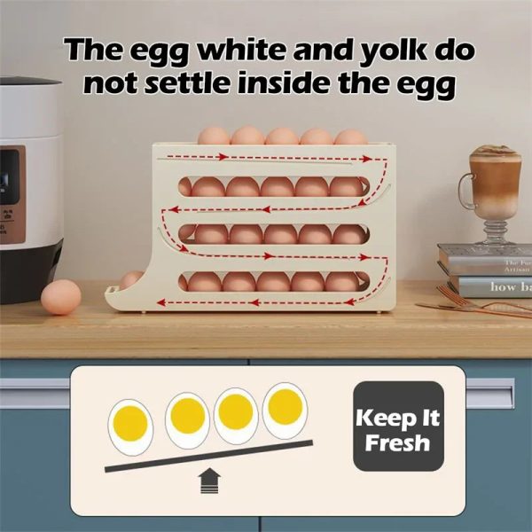 Egg Storage Box Egg Storage Box