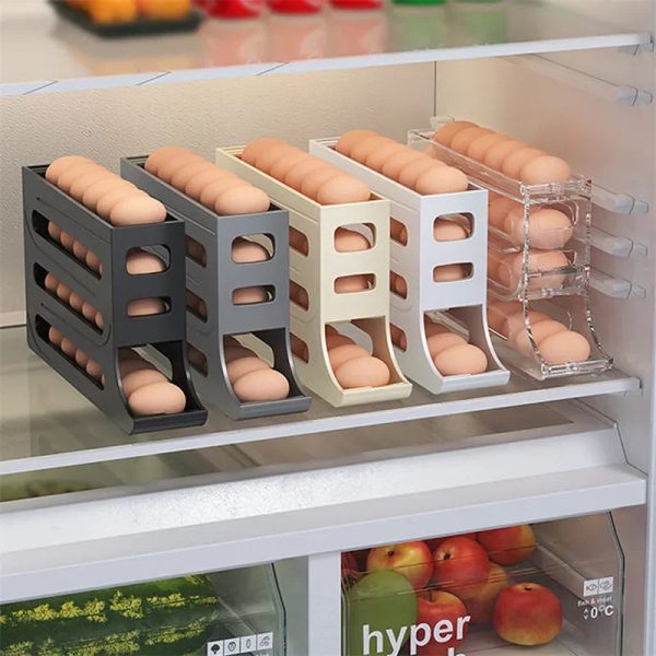 Egg Storage Box Egg Storage Box