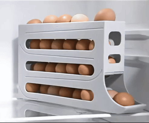 Egg Storage Box Egg Storage Box